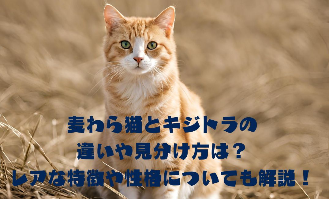 草むらに座っている猫