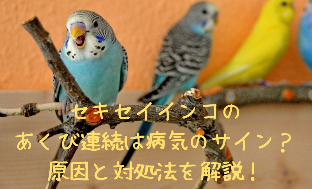 ケージの中であくびするインコ