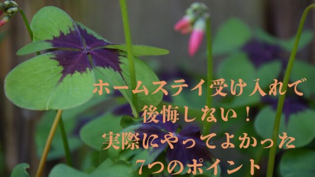 後悔しない