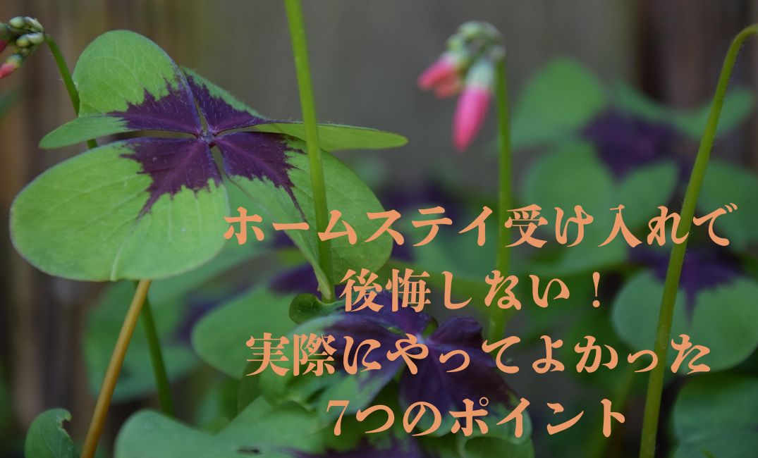 後悔しない