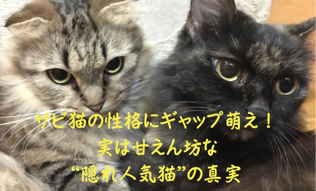 錆び猫の性格