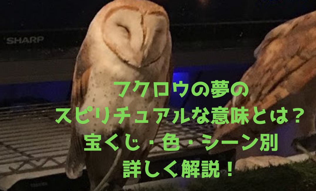 フクロウの夢