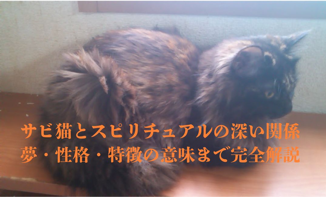 錆び猫のスピリチュアル