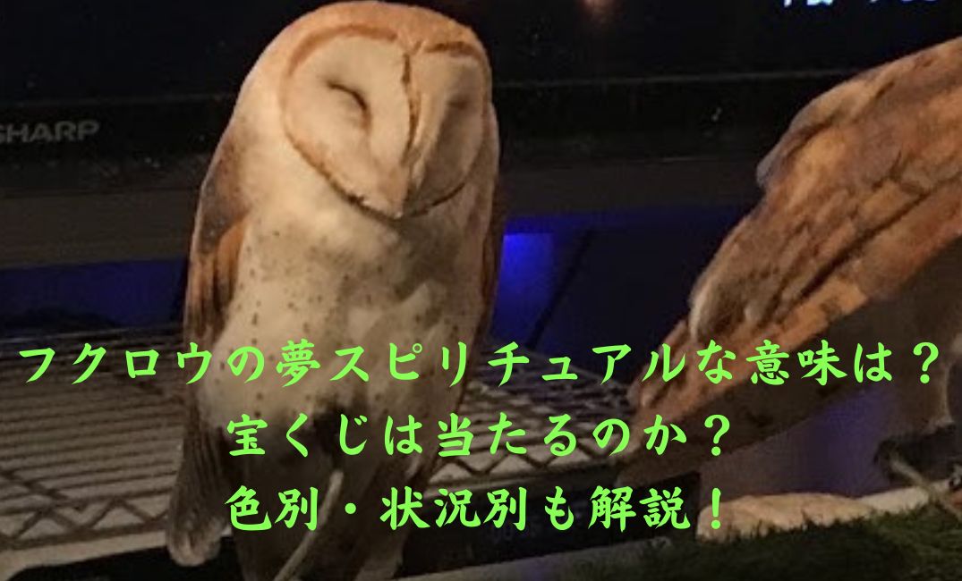 フクロウが寝ている