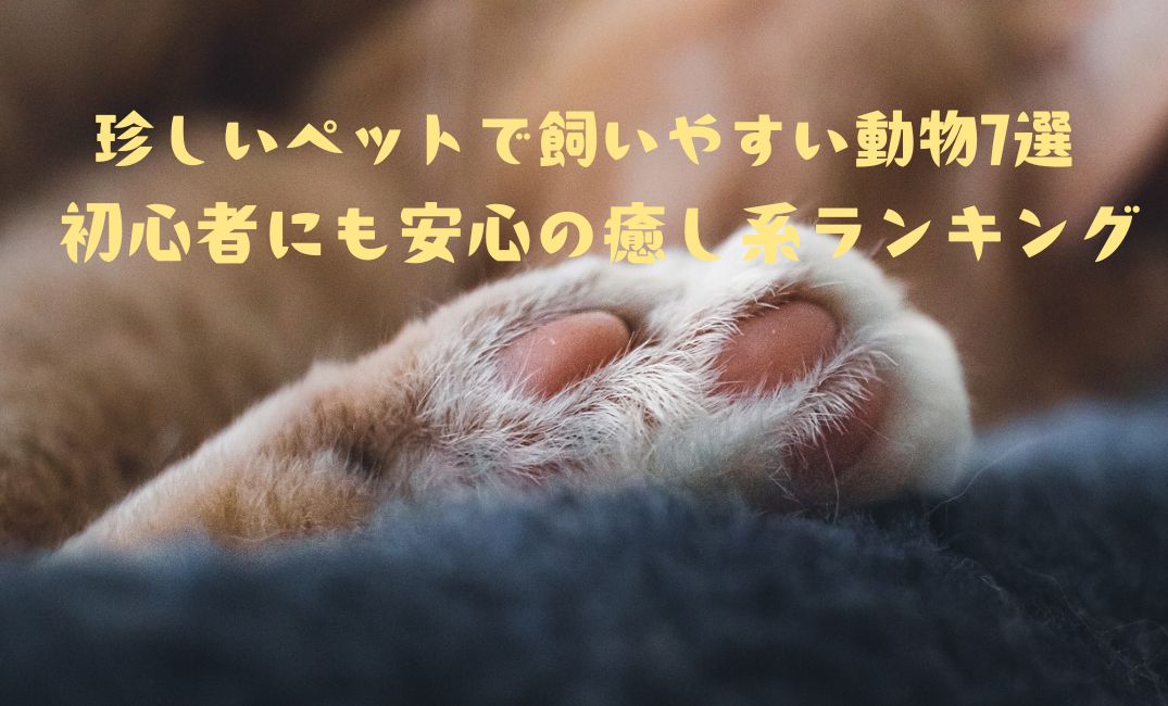 飼いやすいペット