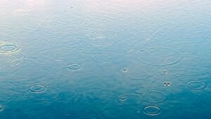 雨の波紋