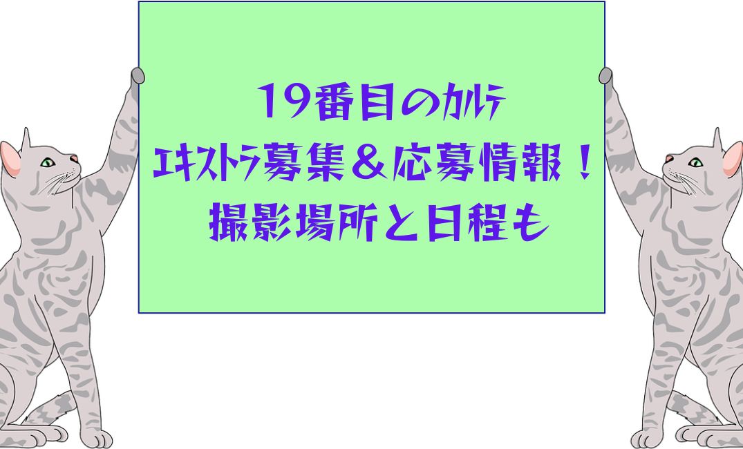 19番目のｶﾙﾃのｴｷｽﾄﾗ募集