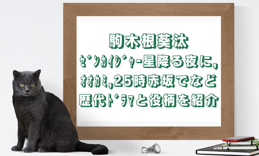 駒木根葵汰の歴代ﾄﾞﾗﾏ 役柄