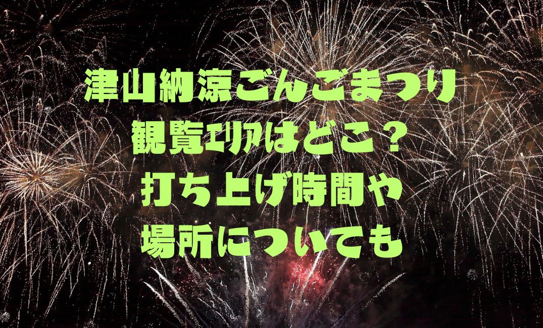 津山納涼ごんごまつりの観覧エリアは