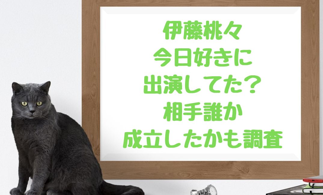 伊藤桃々,今日好きに出演?