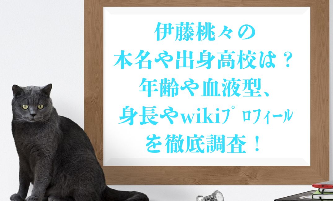 伊藤桃々の本名や出身高校は