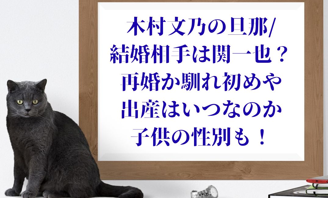 木村文乃の旦那/結婚相手は関一也