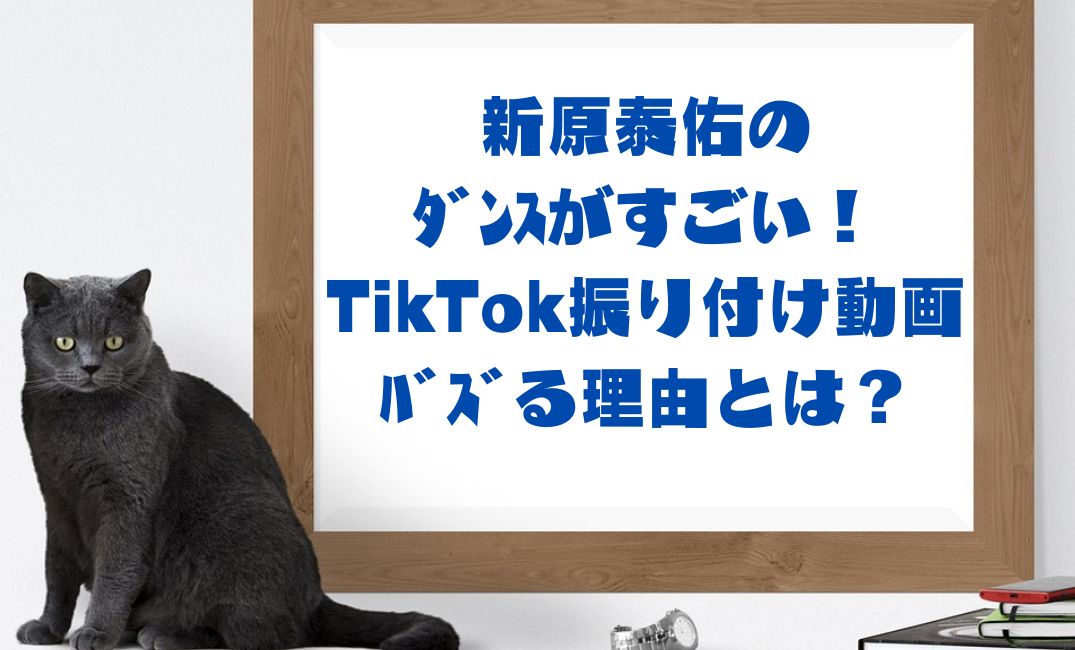 新原泰佑のﾀﾞﾝｽがすごい