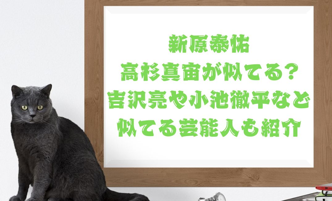 新原泰佑と高杉真宙が似てる
