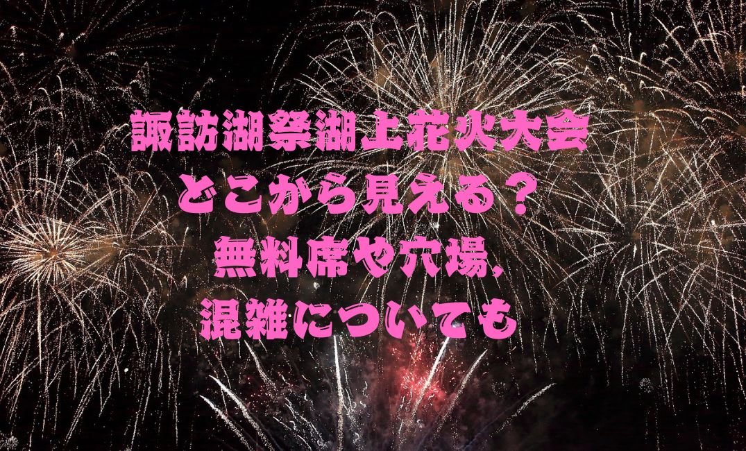 諏訪湖祭湖上花火大会はどこから見える