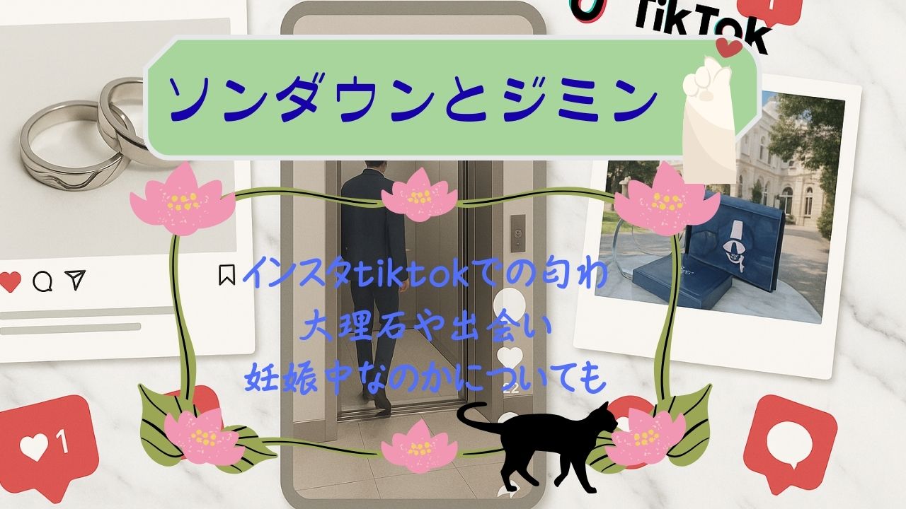 ｿﾝﾀﾞｳﾝとｼﾞﾐﾝのｲﾝｽﾀtiktok