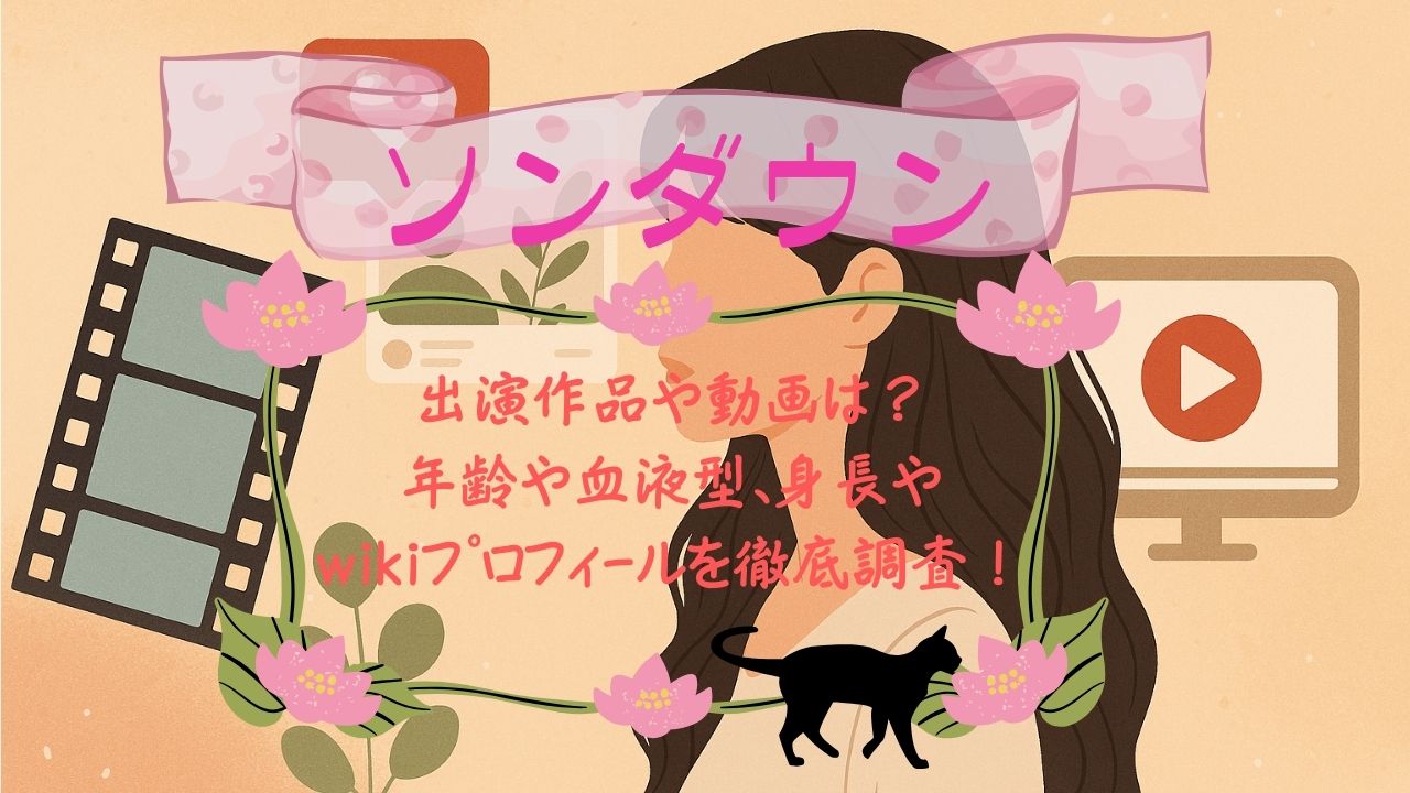 ｿﾝﾀﾞｳﾝの出演作品