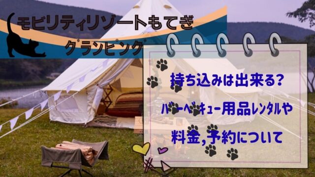 ﾓﾋﾞﾘﾃｨﾘｿﾞｰﾄもてぎｸﾞﾗﾝﾋﾟﾝｸﾞに持ち込み