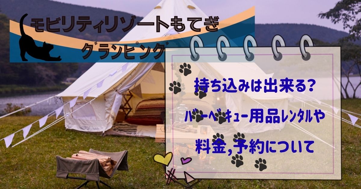 ﾓﾋﾞﾘﾃｨﾘｿﾞｰﾄもてぎｸﾞﾗﾝﾋﾟﾝｸﾞに持ち込み
