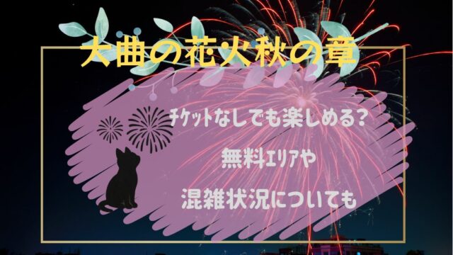 大曲の花火秋の章ﾁｹｯﾄなし