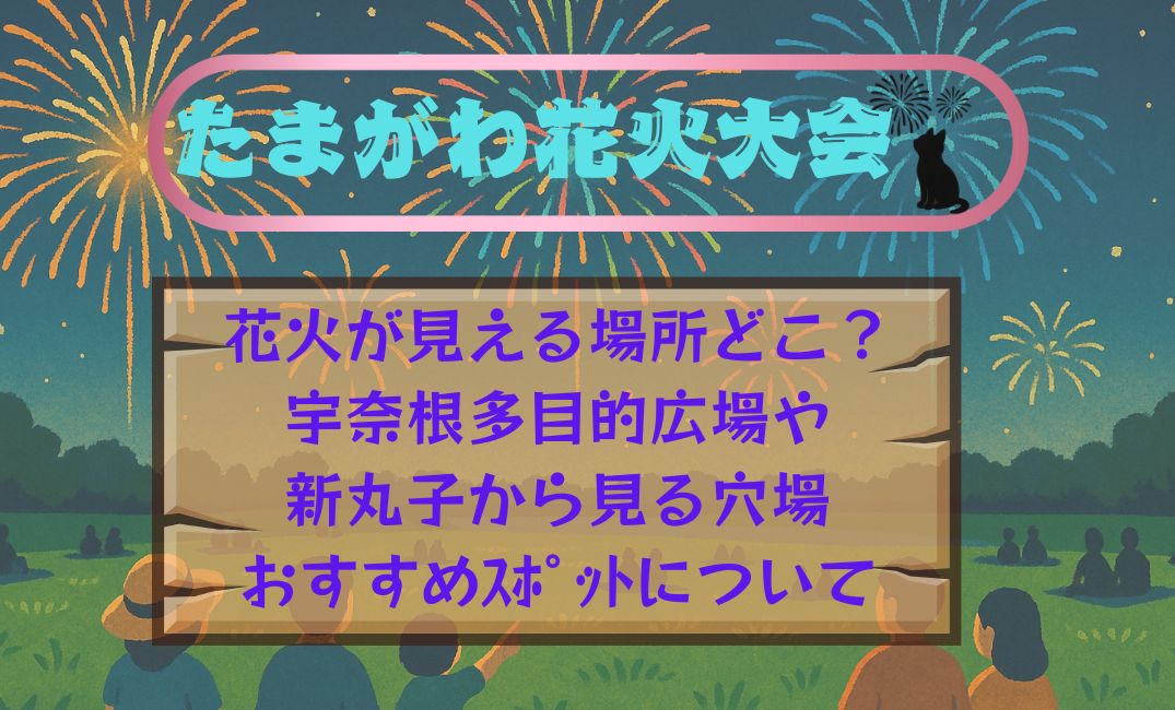たまがわ花火大会花火が見える場所